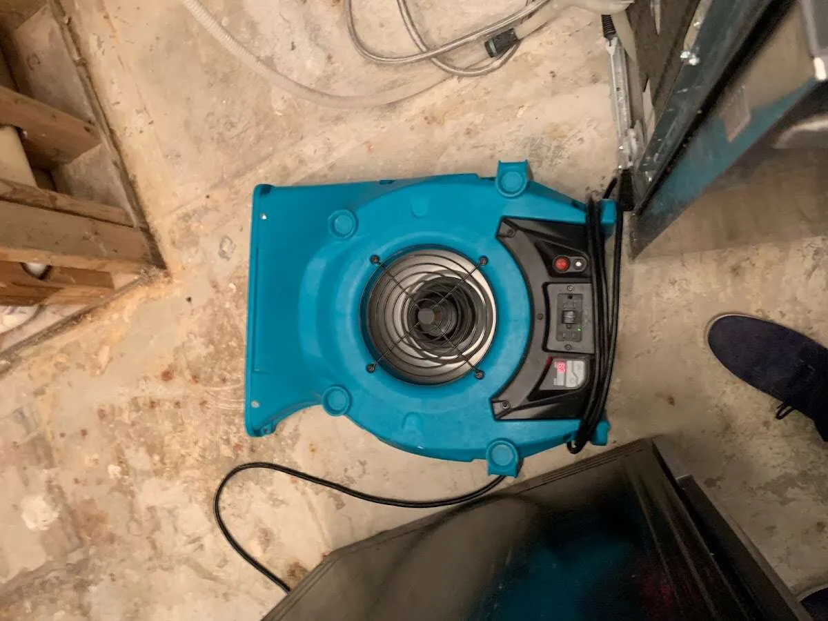 Air mover drying equipment for Mold Remediation & Removal in Lakeville