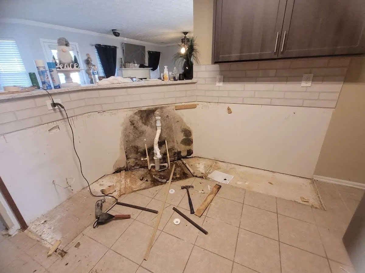 Mold behind wall with plumbing during Flood Damage Cleanup in Lakeville